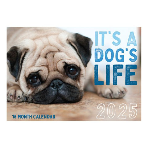 Calendar 2025 Dogs and Puppies