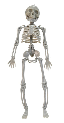 Skeleton 28cm